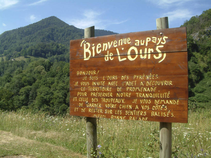 无人,横图,室外,白天,正面,旅游,度假,草地,草坪,美景,山,山脉,植物,法国,欧洲,阴影,光线,英文,标志,文字,影子,字符,字母,景观,山峰,云,云朵,山峦,云彩,娱乐,标识,草,树,树木,蓝色,绿色,白云,蓝天,天空,阳光,自然,群山,天,享受,休闲,景色,放松,生长,晴朗,成长,英文字母,西欧,法兰西,自然风光,法兰西共和国,法兰西第五共和国,南部.比利牛斯,阿列日省,南部.比利牛斯大区,晴空,彩图,富瓦区,屈埃里居