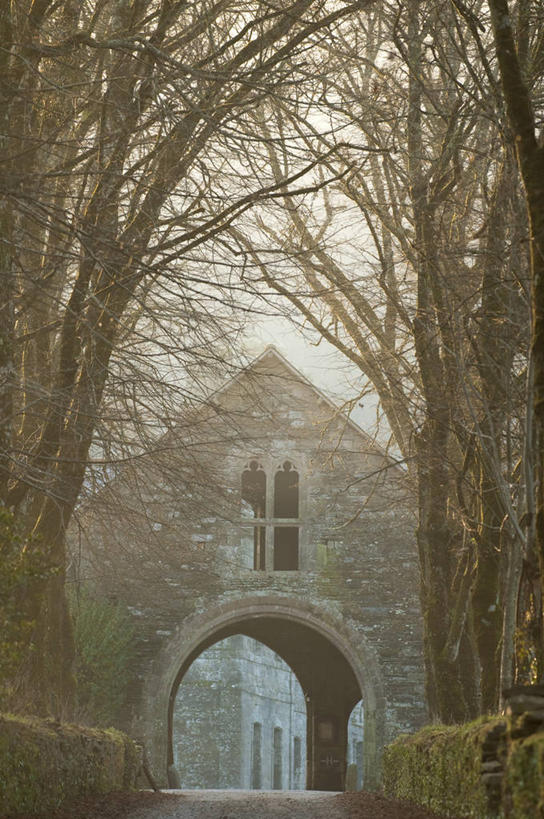 无人,竖图,室外,白天,正面,旅游,度假,名胜古迹,植物,门,标志建筑,地标,建筑,法国,欧洲,节日,遗迹,墙,拱门,古迹,文化,文物,娱乐,建设,古建筑,墙壁,墙面,树,树木,绿色,自然,门框,祈祷,享受,休闲,健康,旅游胜地,放松,许愿,宗教,信仰,生长,成长,纪念,祈求,基督教,布列塔尼,西欧,天主教,法兰西,修道院,信念,古文明,法兰西共和国,法兰西第五共和国,布列塔尼半岛,布列塔尼地区,神学院,修院,隐修院,阿摩尔滨海省,平安,彩图,圣热尔旺