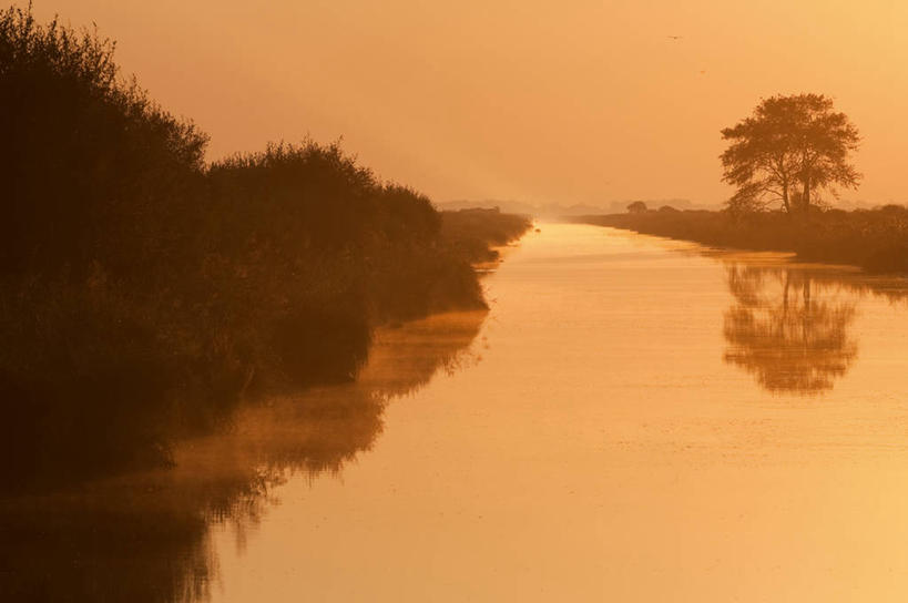 无人,横图,室外,白天,正面,旅游,度假,草地,草坪,河流,美景,日落,水,植物,法国,欧洲,波纹,河水,景观,水流,晚霞,霞光,落日,涟漪,背光,娱乐,草,树,树木,绿色,倒影,水纹,自然,黄昏,波浪,享受,休闲,景色,彩霞,放松,生长,成长,倒映,西欧,法兰西,自然风光,逆光,法兰西共和国,卢瓦尔河地区,水晕,法兰西第五共和国,夕照,反照,薄暮,卢瓦尔,卢瓦尔大区,卢瓦尔河大区,夕阳,彩图,傍晚,大西洋岸卢瓦尔省,大西洋卢瓦尔省,圣纳泽尔区,斜阳,圣利法尔