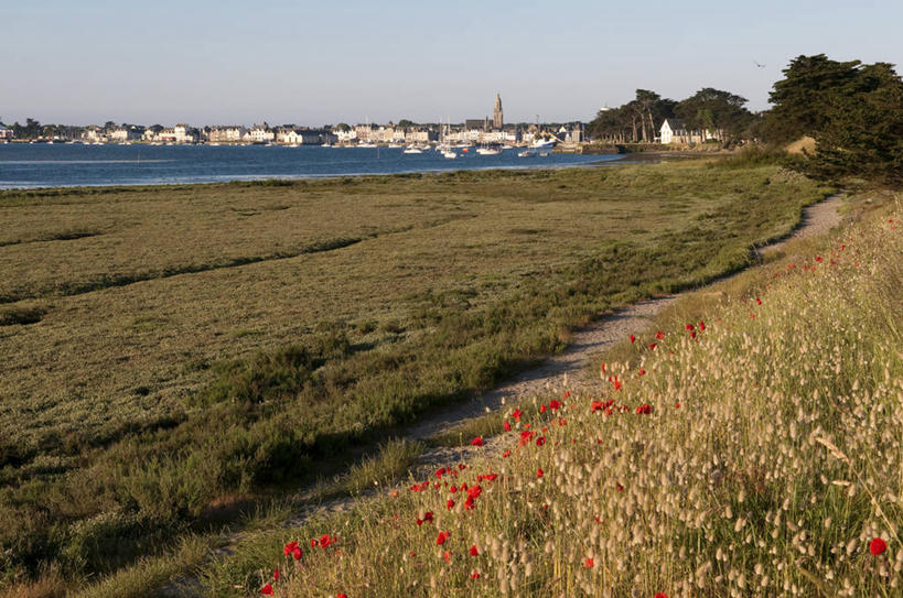 无人,家,横图,室外,白天,正面,旅游,度假,草地,草坪,海浪,海洋,花海,花圃,美景,沙滩,植物,叶子,法国,欧洲,阴影,盛开,光线,沙子,影子,房屋,屋子,海岸,景观,浪花,沙地,花蕾,娱乐,楼房,住宅,草,花,花瓣,花朵,花卉,鲜花,树,树木,红色,蓝色,绿色,蓝天,天空,阳光,自然,海水,花丛,花束,花田,天,花苞,花蕊,享受,休闲,景色,放松,生长,晴朗,成长,西欧,法兰西,自然风光,海景,万里无云,法兰西共和国,卢瓦尔河地区,法兰西第五共和国,卢瓦尔,卢瓦尔大区,卢瓦尔河大区,大海,风浪,海,海水的波动,海滩,近岸浪,涌浪,晴空,晴空万里,彩图,房子,大西洋岸卢瓦尔省,大西洋卢瓦尔省,盖朗德,杰宏德