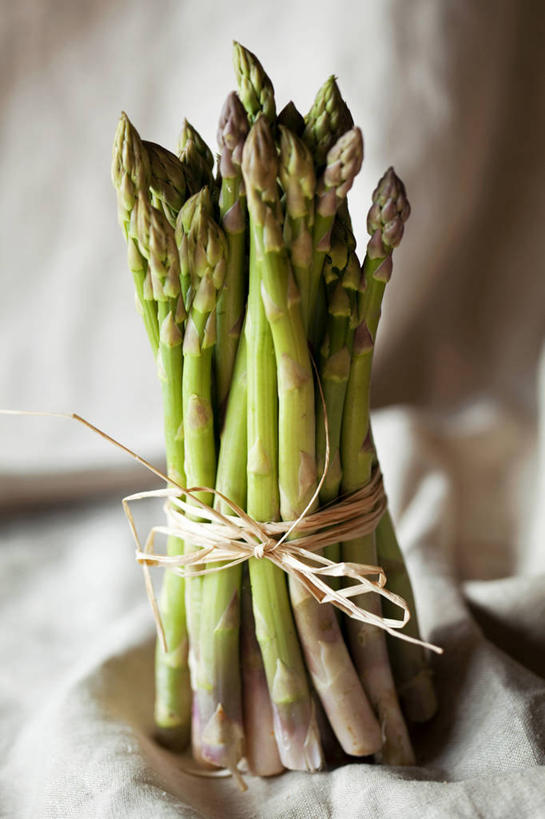 无人,竖图,室内,特写,白天,正面,芦笋,蔬菜,纺织品,许多,阴影,朦胧,模糊,新鲜,反射,布,影子,绿芦笋,食品,织物,很多,抹布,食物,绿色,绳子,有机食品,绿色食品,绑扎,猪尾巴,药鸡豆子,石刁柏,蚂蚁杆,龙须菜,狼尾巴根,彩图