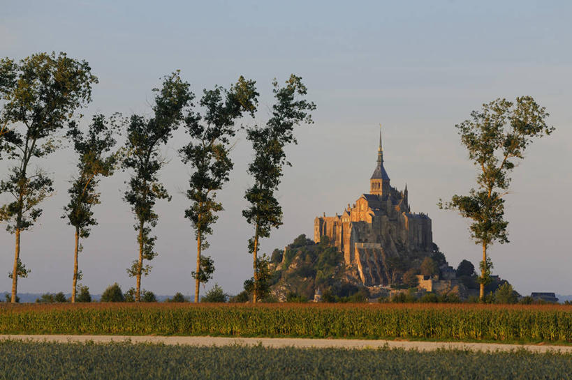 无人,横图,室外,白天,正面,旅游,度假,草地,草坪,名胜古迹,植物,标志建筑,地标,建筑,法国,欧洲,阴影,节日,遗迹,光线,影子,古迹,文化,文物,娱乐,建设,古建筑,草,树,树木,绿色,天空,阳光,自然,天,祈祷,享受,休闲,健康,旅游胜地,放松,许愿,宗教,信仰,生长,成长,纪念,祈求,基督教,西欧,天主教,法兰西,修道院,信念,古文明,法兰西共和国,法兰西第五共和国,圣米歇尔山,下诺曼底,下诺曼底大区,神学院,修院,隐修院,芒什省,平安,彩图,圣米歇尔山修道院