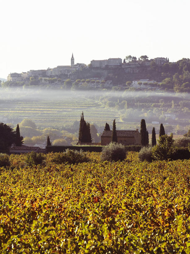 无人,家,果园,竖图,室外,白天,正面,旅游,度假,美景,秋季,山,山脉,田园,雾,法国,欧洲,朦胧,模糊,房屋,屋子,景观,山峰,山峦,娱乐,楼房,葡萄园,架子,住宅,天空,自然,庄园,群山,天,享受,休闲,景色,放松,支撑,固定,迷雾,西欧,法兰西,自然风光,葡萄架,瓦尔省,法兰西共和国,法兰西第五共和国,普罗旺斯.阿尔卑斯.蓝色海岸,普罗旺斯.阿尔卑斯.蓝色海岸大区,大雾,秋,秋天,彩图,房子,土伦区,拉卡迪埃达聚,邦多