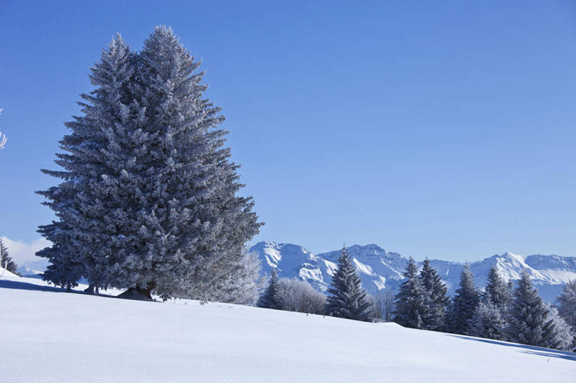 无人,横图,室外,白天,正面,旅游,度假,美景,山,雪,雪山,植物,大雪,法国,欧洲,阴影,光线,影子,冰,积雪,景观,山峰,雪景,冬季,冬天,山峦,娱乐,树,树木,蓝色,绿色,蓝天,天空,阳光,自然,天,享受,休闲,景色,放松,寒冷,生长,晴朗,成长,冰冷,西欧,法兰西,自然风光,万里无云,法兰西共和国,法兰西第五共和国,严寒,冰凉,酷寒,凛冽,凛凛,极冷,萨瓦省,晴空,晴空万里,彩图,罗讷.阿尔卑斯,罗讷.阿尔卑斯大区