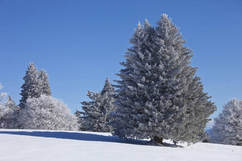 无人,横图,室外,白天,正面,旅游,度假,美景,山,雪,雪山,植物,大雪,法国,欧洲,阴影,光线,影子,冰,积雪,景观,山峰,雪景,冬季,冬天,山峦,娱乐,树,树木,蓝色,绿色,蓝天,天空,阳光,自然,天,享受,休闲,景色,放松,寒冷,生长,晴朗,成长,冰冷,西欧,法兰西,自然风光,万里无云,法兰西共和国,法兰西第五共和国,严寒,冰凉,酷寒,凛冽,凛凛,极冷,萨瓦省,晴空,晴空万里,彩图,罗讷.阿尔卑斯,罗讷.阿尔卑斯大区
