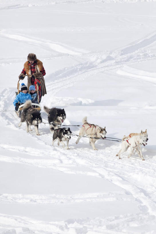 西方人,一个人,坐,竖图,俯视,室外,白天,雪,大雪,宠物,狗,帽子,欧洲,欧洲人,仅一个男性,仅一个人,奔驰,握,阴影,服装,装饰,光线,影子,积雪,雪景,冬季,冬天,注视,车,仅一个年轻男性,一个,衣服,阳光,动物,手套,交通工具,奔跑,观察,看,温暖,寒冷,可爱,握着,哈士奇,哈士奇犬,服饰,五只,单个,观看,保暖,华丽,雪橇,点缀,察看,衣着,御寒,穿着,关注,载具,西伯利亚雪橇犬,雪橇犬,雪橇车,忠诚,衬托,美观,雅致,雅观,棉帽,严寒,哈士奇狗,西伯利亚哈士奇,衣饰,男人,男性,年轻男性,白种人,犬,坐着,彩图,高角度拍摄,全身,西伯利亚犬