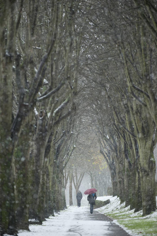 西方人,两个人,走,竖图,室外,白天,消失点,旅游,度假,草地,草坪,美景,树林,雪,植物,大雪,道路,路,法国,欧洲,欧洲人,一把,行人,阴影,服装,朦胧,模糊,反射,伞,影子,雨伞,积雪,景观,雪景,冬季,冬天,小路,交通,休闲装,娱乐,阳伞,路人,草,树,树木,背面,衣服,绿色,自然,享受,休闲,休闲服,景色,放松,寒冷,服饰,生长,成长,布列塔尼,西欧,法兰西,自然风光,法兰西共和国,法兰西第五共和国,严寒,布列塔尼地区,过客,莫尔比昂省,男人,男性,年轻男性,年轻女性,女人,女性,白种人,步行,散步,走路,彩图,没影点,灭点,全身,瓦讷区