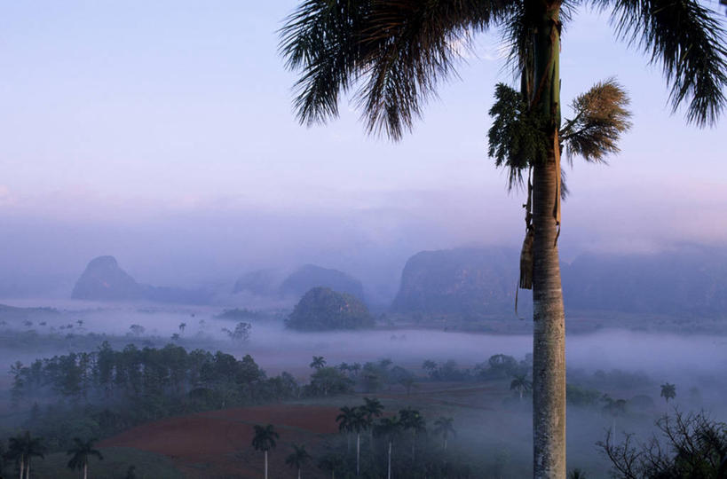 无人,横图,室外,白天,正面,旅游,度假,石头,美景,山,山脉,峡谷,植物,雾,棕榈树,叶子,古巴,阴影,朦胧,模糊,光线,石子,影子,景观,山峰,绿叶,山谷,山峦,娱乐,树,树木,绿色,阳光,自然,群山,享受,休闲,嫩叶,景色,放松,生长,成长,迷雾,北美,北美洲,岩层,自然风光,美洲,棕榈叶,北亚美利加洲,亚美利加洲,古巴共和国,比那德里奥,比那德里奥省,比尼亚莱斯山谷,叶,叶片,石块,岩石,大雾,棕树,棕榈,彩图