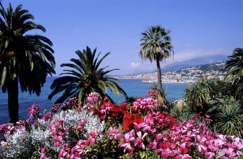 无人,横图,室外,白天,正面,旅游,度假,草地,草坪,海浪,海洋,花海,花圃,石头,美景,山,山脉,植物,棕榈树,叶子,法国,欧洲,阴影,盛开,光线,石子,影子,景观,浪花,山峰,云,云朵,绿叶,山峦,花蕾,云彩,娱乐,草,花,花瓣,花朵,花卉,鲜花,树,树木,粉色,红色,蓝色,绿色,白云,蓝天,天空,阳光,自然,海水,花丛,花束,花田,群山,天,花苞,花蕊,享受,休闲,嫩叶,景色,放松,生长,晴朗,成长,西欧,法兰西,自然风光,海景,棕榈叶,滨海阿尔卑斯,法兰西共和国,法兰西第五共和国,普罗旺斯.阿尔卑斯.蓝色海岸,普罗旺斯.阿尔卑斯.蓝色海岸大区,滨海阿尔卑斯省,叶,叶片,大海,风浪,海,海水的波动,近岸浪,石块,岩石,涌浪,晴空,棕树,棕榈,彩图,芒通