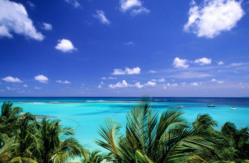 无人,横图,室外,白天,正面,旅游,度假,海浪,海洋,美景,植物,棕榈树,叶子,阴影,光线,影子,景观,浪花,水平线,云,云朵,辽阔,绿叶,海平线,云彩,娱乐,树,树木,蓝色,绿色,白云,蓝天,天空,阳光,自然,海水,天,享受,休闲,广阔,嫩叶,景色,南美,放松,生长,晴朗,成长,一望无际,南美洲,荷属安的列斯,西印度群岛,拉丁美洲,自然风光,美洲,海景,棕榈叶,荷属安的列斯群岛,亚美利加洲,南亚美利加洲,无边无际,一马平川,瓜德罗普岛,叶,叶片,大海,风浪,海,海水的波动,近岸浪,涌浪,晴空,棕树,棕榈,彩图,格朗德特尔岛,水天相接,水天一线