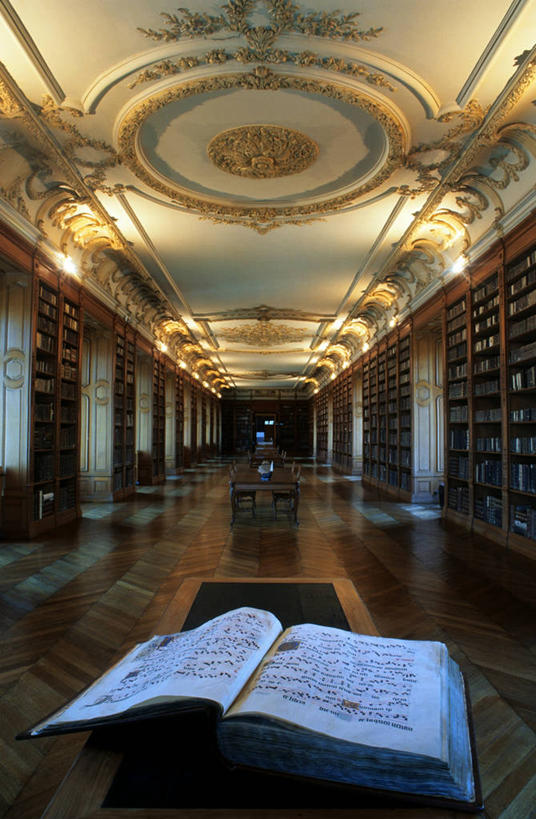 无人,图书馆,竖图,室内,白天,正面,度假,美景,地板,天花板,城市风光,城市,书籍,照明,法国,欧洲,一本,阴影,光线,影子,柱子,景观,走道,走廊,过道,灯光,地面,娱乐,顶灯,木地板,灯,白色,书本,灯具,打开,翻开,享受,休闲,景色,放松,照亮,照明设备,西欧,法兰西,浏览室,法兰西共和国,法兰西第五共和国,掀开,洛林,洛林大区,书,图书,彩图,书库,图书库,科梅尔西区,默兹省,圣米耶,阅览室