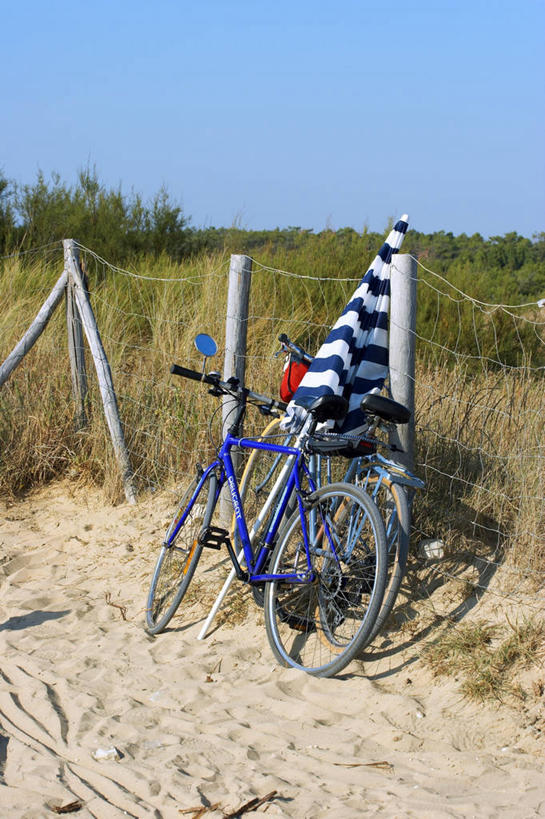 无人,栏杆,竖图,室外,白天,正面,旅游,度假,草地,草坪,美景,植物,自行车,法国,欧洲,一把,一辆,阴影,光线,伞,影子,雨伞,遮阳伞,景观,围栏,娱乐,阳伞,护栏,车,脚踏车,草,蓝色,绿色,蓝天,天空,阳光,自然,交通工具,天,享受,休闲,景色,放松,晴朗,太阳伞,西欧,法兰西,自然风光,载具,万里无云,法兰西共和国,法兰西第五共和国,普瓦图.夏朗德,普瓦图.夏朗德大区,滨海夏朗德省,晴空,晴空万里,彩图,奥莱龙岛,欧雷翁岛