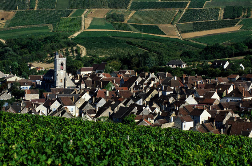 无人,家,横图,俯视,室外,白天,旅游,度假,草地,草坪,美景,植物,法国,欧洲,阴影,光线,瓦片,影子,房屋,屋顶,屋檐,屋子,景观,顶棚,娱乐,楼房,檐,住宅,草,树,树木,绿色,阳光,自然,享受,休闲,景色,放松,生长,成长,勃艮第,西欧,法兰西,自然风光,法兰西共和国,法兰西第五共和国,勃艮第大区,约讷省,彩图,高角度拍摄,房子,伊朗锡