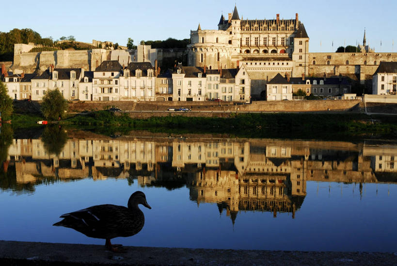 无人,站,横图,室外,白天,正面,旅游,度假,河流,名胜古迹,水,窗户,标志建筑,地标,建筑,鸟,法国,欧洲,阴影,遗迹,光线,鸟类,鸭,瓦片,影子,堡垒,城堡,墙,屋檐,河水,水流,云,云朵,背光,云彩,古迹,文物,娱乐,建设,古建筑,家禽,檐,玻璃窗,墙壁,墙面,一只,蓝色,灰色,白云,倒影,蓝天,天空,阳光,动物,天,站着,享受,休闲,旅游胜地,放松,牲畜,晴朗,倒映,西欧,要塞,法兰西,逆光,古文明,法兰西共和国,法兰西第五共和国,反照,设防,安德尔.卢瓦尔省,中央大区,昂布瓦斯,舍农索城堡,雪侬梭城堡,晴空,站立,彩图,全身