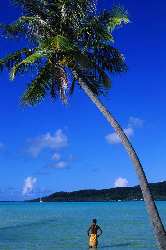 西方人,一个人,站,竖图,室外,白天,正面,旅游,度假,岛屿,海浪,海洋,美景,植物,棕榈树,叶子,欧洲,欧洲人,仅一个男性,仅一个人,一棵,阴影,服装,光线,影子,岛,景观,浪花,云,云朵,绿叶,云彩,休闲装,娱乐,树,树木,仅一个年轻男性,衣服,蓝色,绿色,白云,蓝天,天空,阳光,自然,海水,天,站着,享受,休闲,休闲服,嫩叶,景色,南美,放松,服饰,生长,晴朗,成长,南美洲,西印度群岛,拉丁美洲,自然风光,美洲,海景,棕榈叶,亚美利加洲,南亚美利加洲,背风群岛,男人,男性,年轻男性,白种人,叶,叶片,大海,风浪,海,海水的波动,近岸浪,列岛,群岛,涌浪,诸岛,晴空,棕树,棕榈,站立,半身,彩图,塔哈岛