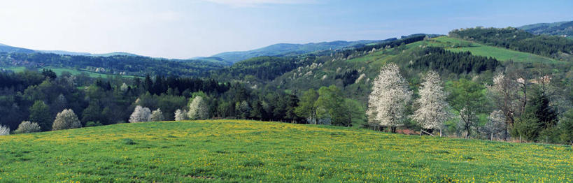 无人,横图,全景,室外,白天,正面,旅游,度假,草地,草坪,美景,山,山脉,树林,天际线,植物,法国,欧洲,阴影,光线,影子,景观,山峰,云,云朵,山峦,云彩,娱乐,草,树,树木,蓝色,绿色,白云,蓝天,天空,阳光,自然,群山,天,享受,休闲,景色,放松,生长,晴朗,成长,西欧,法兰西,自然风光,法兰西共和国,法兰西第五共和国,奥弗涅,奥弗涅大区,晴空,彩图,阿列省,勒迈埃德蒙塔尼,维希区