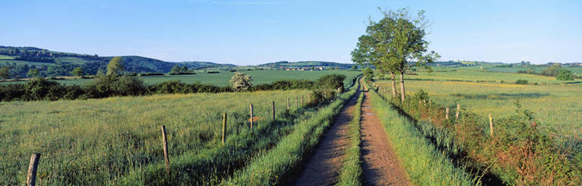无人,农田,栏杆,横图,全景,室外,白天,正面,消失点,旅游,度假,庄稼,农作物,草地,草坪,美景,山,山脉,天际线,植物,道路,路,法国,欧洲,阴影,光线,影子,景观,山峰,围栏,小路,交通,山峦,娱乐,护栏,草,树,树木,蓝色,绿色,蓝天,天空,阳光,自然,群山,天,享受,休闲,景色,放松,生长,晴朗,成长,西欧,法兰西,自然风光,万里无云,法兰西共和国,法兰西第五共和国,奥弗涅,奥弗涅大区,晴空,晴空万里,彩图,没影点,灭点,耕地,庄稼田,阿列省,蒙吕松区,埃布勒伊