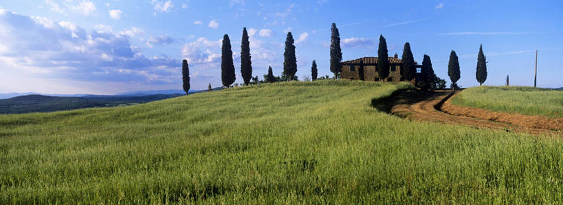 无人,家,农田,横图,室外,白天,正面,旅游,度假,庄稼,农作物,小麦,草地,草坪,美景,树林,植物,道路,路,意大利,欧洲,阴影,曲折,弯曲,光线,影子,房屋,屋子,景观,小路,谷物,交通,麦田,娱乐,楼房,住宅,草,树,树木,蓝色,绿色,蓝天,天空,阳光,自然,天,享受,休闲,景色,放松,蜿蜒,麦子,生长,晴朗,成长,托斯卡纳,锡耶纳,南欧,自然风光,万里无云,意大利共和国,托斯卡纳大区,晴空,晴空万里,彩图,耕地,庄稼田,房子,阿米亚塔山,奥尔恰谷