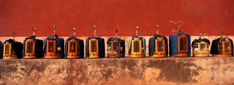 无人,横图,室外,特写,白天,正面,中国,亚洲,一排,许多,阴影,整齐,光线,影子,墙,笼子,鸟笼,很多,云南,墙壁,墙面,排列,红色,阳光,队列,东亚,云南省,建水,建水县,中华人民共和国,西南地区,滇,红河,红河州,红河哈尼族彝族自治州,彩图