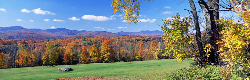 无人,横图,全景,室外,白天,正面,旅游,度假,草地,草坪,美景,秋季,山,山脉,天际线,植物,叶子,美国,一堆,许多,阴影,堆叠,堆积,光线,影子,景观,山峰,云,云朵,褐色,枯叶,落叶,山峦,很多,云彩,娱乐,草,树,树木,蓝色,绿色,白云,蓝天,天空,阳光,自然,群山,天,享受,休闲,景色,放松,生长,晴朗,成长,堆,北美,北美洲,自然风光,美洲,新罕布什尔州,北亚美利加洲,亚美利加洲,新罕布什尔,新罕布夏州,花岗岩州,花冈岩之州,滑雪之州,叶,叶片,晴空,秋,秋天,彩图,华盛顿山,美利坚合众国