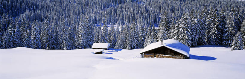 无人,家,横图,俯视,室外,白天,旅游,度假,美景,森林,树林,雪,植物,大雪,法国,欧洲,阴影,光线,影子,房屋,屋顶,屋子,积雪,景观,雪景,冬季,冬天,顶棚,娱乐,楼房,住宅,树,树木,绿色,阳光,自然,享受,休闲,景色,放松,寒冷,生长,成长,西欧,法兰西,自然风光,法兰西共和国,法兰西第五共和国,严寒,萨瓦省,彩图,高角度拍摄,房子,罗讷.阿尔卑斯,罗讷.阿尔卑斯大区
