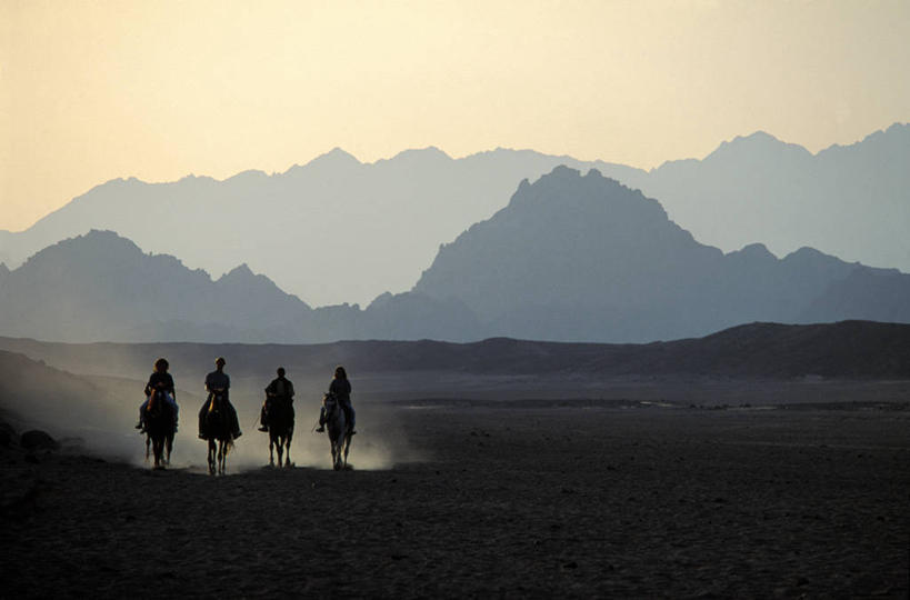 西方人,四个人,坐,横图,室外,白天,正面,旅游,度假,美景,沙漠,山,山脉,马,野生动物,欧洲,非洲,埃及,黑人,欧洲人,四只,行人,游客,游人,奔驰,服装,景观,山峰,乌云,云,阴天,云朵,山峦,背光,云彩,休闲装,娱乐,路人,旅客,衣服,天空,自然,动物,群山,天,奔跑,享受,休闲,休闲服,景色,放松,运输,服饰,牲畜,昏暗,阴沉,自然风光,逆光,阿拉伯埃及共和国,金字塔之国,棉花之国,阿非利加洲,过客,西奈半岛,男人,男性,年轻男性,非洲人,大漠,砂漠,坐着,彩图,全身