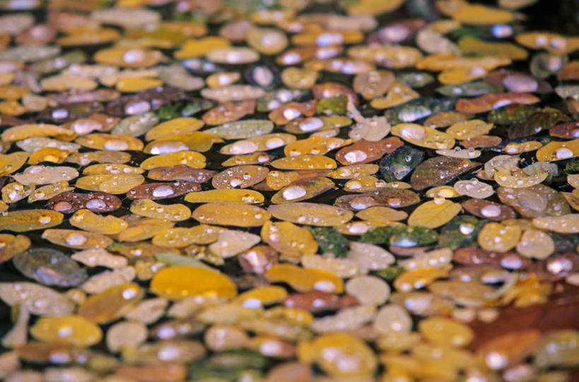 无人,横图,俯视,室外,白天,度假,美景,城市风光,城市,喷泉,法国,欧洲,阴影,光线,影子,景观,文化,娱乐,阳光,品味,享受,休闲,景色,放松,西欧,法兰西,水景,瓦尔省,法兰西共和国,美观,法兰西第五共和国,普罗旺斯.阿尔卑斯.蓝色海岸,普罗旺斯.阿尔卑斯.蓝色海岸大区,瓦尔,设计,彩图,高角度拍摄,布里尼奥勒区,科蒂尼亚