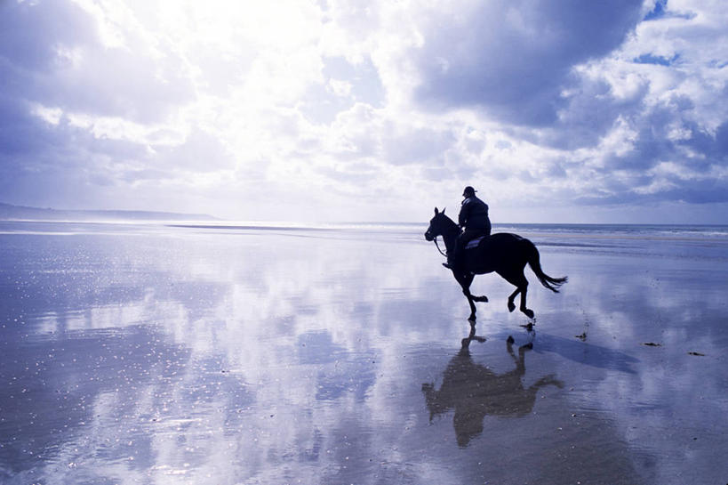 西方人,一个人,坐,走,横图,室外,白天,仰视,旅游,度假,海浪,海洋,美景,沙滩,马,野生动物,法国,欧洲,欧洲人,仅一个男性,仅一个人,行人,游客,游人,阴影,服装,光线,沙子,影子,海岸,景观,浪花,云,云朵,沙地,背光,云彩,注视,休闲装,娱乐,路人,旅客,仅一个年轻男性,一只,衣服,蓝色,白云,蓝天,天空,阳光,自然,海水,动物,天,观察,看,享受,休闲,休闲服,景色,放松,运输,服饰,牲畜,晴朗,观看,察看,西欧,关注,法兰西,自然风光,逆光,海景,法兰西共和国,法兰西第五共和国,多维尔,过客,下诺曼底,下诺曼底大区,卡尔瓦多斯省,男人,男性,年轻男性,白种人,大海,风浪,海,海水的波动,海滩,近岸浪,涌浪,晴空,步行,散步,走路,坐着,彩图,低角度拍摄,全身