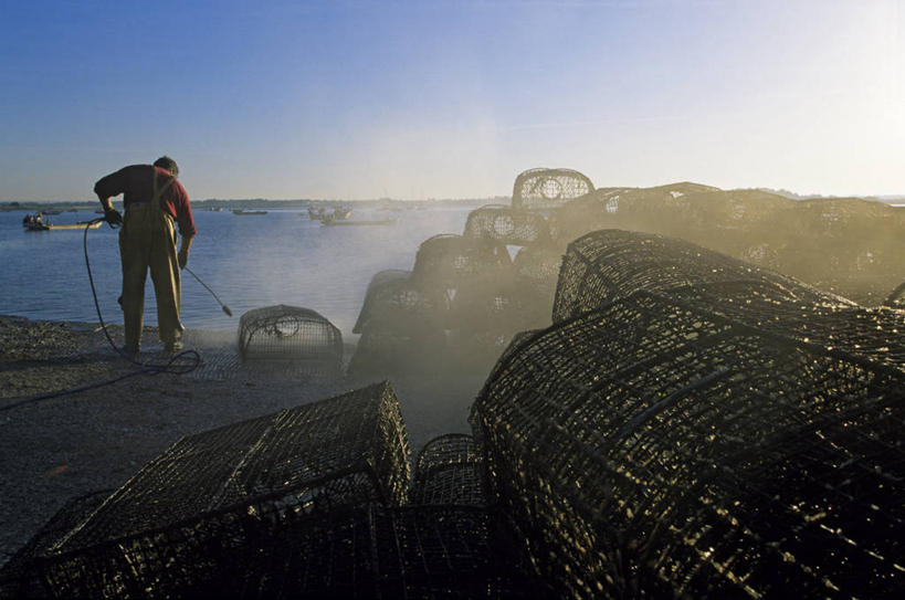 海鲜,西方人,一个人,码头,站,横图,室外,白天,旅游,度假,海浪,海洋,美景,港口,法国,欧洲,欧洲人,仅一个男性,仅一个人,一堆,许多,握,阴影,堆叠,堆积,服装,光线,影子,景观,浪花,牡蛎,很多,注视,休闲装,娱乐,水产,海洋生物,仅一个年轻男性,背面,衣服,蓝色,蓝天,天空,阳光,自然,海水,天,低头,观察,看,站着,享受,休闲,休闲服,景色,放松,握着,服饰,渔网,晴朗,观看,堆,渔具,生蚝,察看,布列塔尼,西欧,关注,抓捕,法兰西,自然风光,水生动物,海产品,捕捞,鱼网,水生物,海景,海底动物,万里无云,法兰西共和国,拉网,捕捞工具,法兰西第五共和国,垂头,菲尼斯泰尔省,布列塔尼地区,非尼斯泰尔省,男人,男性,年轻男性,白种人,大海,风浪,海,海水的波动,近岸浪,涌浪,晴空,晴空万里,站立,彩图,全身,摆渡口,埠头,渡口,渡头,港湾,海港,货运码头,口岸,商港