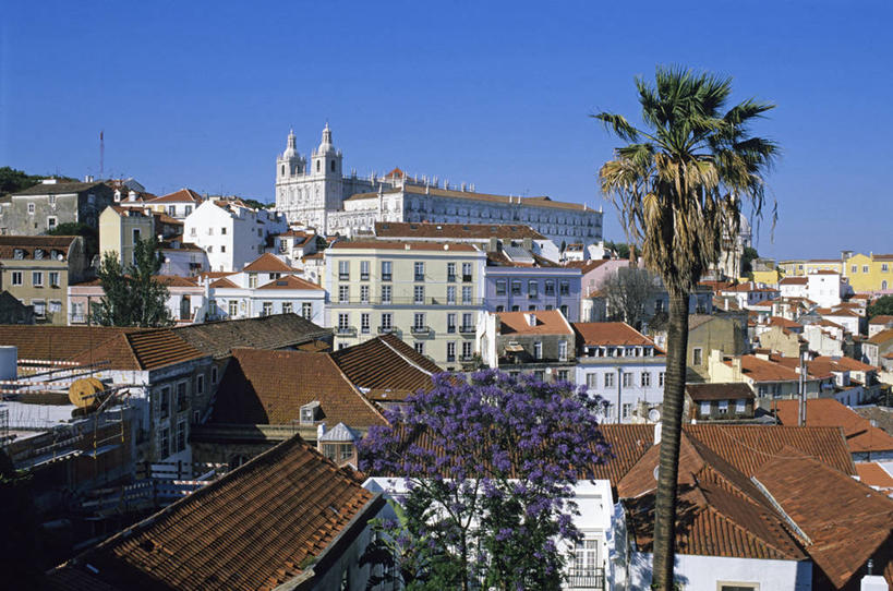 无人,家,横图,室外,白天,正面,度假,美景,植物,城市风光,城市,棕榈树,叶子,葡萄牙,欧洲,阴影,光线,影子,房屋,屋子,景观,绿叶,首都,娱乐,楼房,里斯本,住宅,树,树木,蓝色,绿色,蓝天,天空,阳光,自然,天,享受,休闲,嫩叶,景色,放松,生长,晴朗,成长,南欧,棕榈叶,万里无云,葡萄牙共和国,阿尔法玛,叶,叶片,晴空,晴空万里,棕树,棕榈,彩图,房子