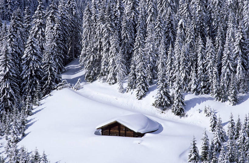 无人,家,横图,俯视,室外,白天,旅游,度假,美景,森林,树林,雪,植物,大雪,法国,欧洲,阴影,光线,影子,房屋,屋顶,屋子,积雪,景观,雪景,冬季,冬天,顶棚,娱乐,楼房,住宅,树,树木,绿色,阳光,自然,享受,休闲,景色,放松,寒冷,生长,成长,西欧,法兰西,自然风光,法兰西共和国,法兰西第五共和国,严寒,萨瓦省,彩图,高角度拍摄,房子,罗讷.阿尔卑斯,罗讷.阿尔卑斯大区