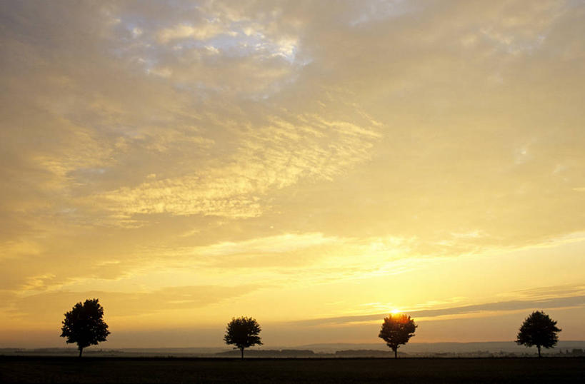 无人,横图,室外,白天,正面,旅游,度假,美景,日落,植物,法国,欧洲,一排,整齐,景观,晚霞,霞光,落日,四棵,背光,娱乐,树,树木,排列,绿色,自然,黄昏,享受,休闲,景色,彩霞,放松,生长,成长,西欧,队列,法兰西,自然风光,逆光,法兰西共和国,法兰西第五共和国,法兰西岛,夕照,薄暮,法兰西岛大区,瓦兹河谷省,瓦勒德瓦兹省,夕阳,彩图,傍晚,斜阳