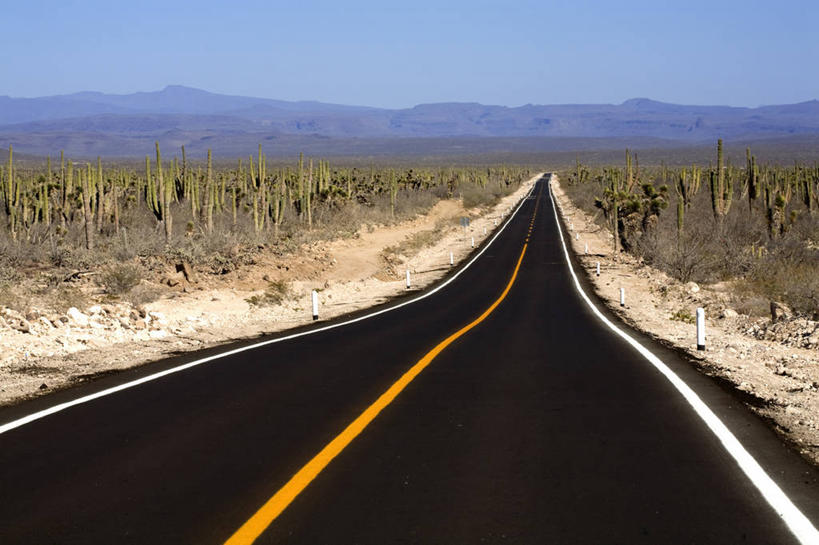 无人,横图,室外,白天,正面,消失点,旅游,度假,石头,美景,沙漠,植物,道路,路,公路,仙人掌,墨西哥,阴影,光线,火焰,石子,影子,景观,分界线,草药,停车线,交通,娱乐,中药,蓝色,蓝天,天空,阳光,自然,天,享受,休闲,景色,放松,晴朗,车行道,车行道分界线,北美,北美洲,自然风光,标线,美洲,药材,中草药,车行线,中药材,本草,万里无云,牛舌头,北亚美利加洲,亚美利加洲,墨西哥合众国,仙人掌王国,南下加利福尼亚,南下加利福尼亚州,大漠,砂漠,石块,岩石,晴空,晴空万里,马路,玉芙蓉,仙巴掌,火掌,霸王树,彩图,没影点,灭点