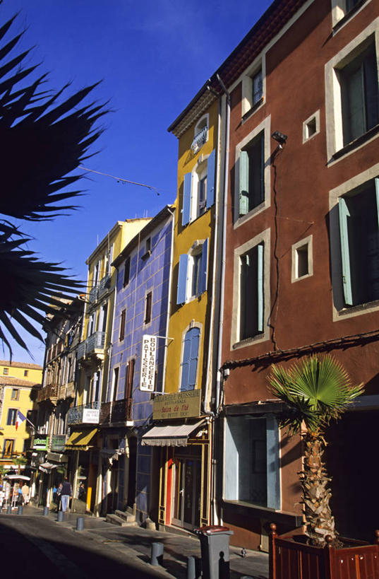 无人,家,竖图,室外,白天,仰视,度假,美景,植物,窗户,城市风光,城市,棕榈树,叶子,法国,欧洲,阴影,光线,影子,房屋,墙,屋子,景观,公寓,绿叶,娱乐,洋房,楼房,玻璃窗,墙壁,墙面,住宅,树,树木,蓝色,绿色,蓝天,天空,阳光,自然,天,享受,休闲,嫩叶,景色,放松,生长,晴朗,成长,西欧,法兰西,棕榈叶,万里无云,法兰西共和国,法兰西第五共和国,埃罗,朗格多克.鲁西永,埃罗省,朗格多克.鲁西永大区,叶,叶片,晴空,晴空万里,棕树,棕榈,彩图,低角度拍摄,房子,阿格德