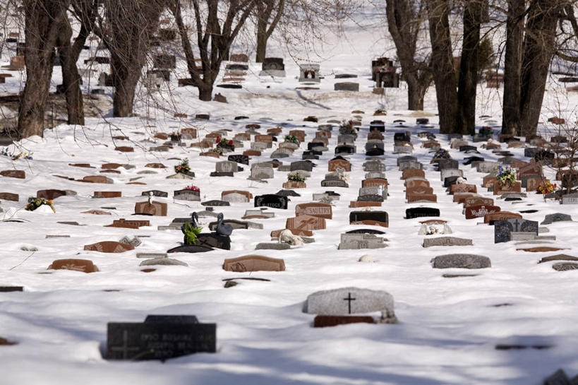 无人,横图,室外,白天,正面,旅游,度假,雪,植物,大雪,标志建筑,地标,建筑,加拿大,一排,许多,整齐,并列,并排,积雪,雪景,冬季,冬天,很多,娱乐,建设,树,树木,排列,绿色,自然,墓碑,享受,休闲,墓地,旅游胜地,放松,寒冷,生长,成长,北美,坟墓,陵墓,北美洲,队列,美洲,平行,坟场,北亚美利加洲,亚美利加洲,严寒,魁北克省,蒙特利尔,蒙特利尔市,蒙特娄,圣人之城,皇家山,彩图,古壁省,魁省