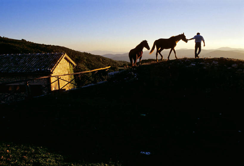西方人,一个人,家,木屋,站,横图,室外,白天,正面,旅游,度假,美景,马,野生动物,意大利,欧洲,欧洲人,仅一个男性,仅一个人,牵,阴影,服装,光线,影子,景观,背光,娱乐,住宅,仅一个年轻男性,衣服,蓝色,蓝天,天空,阳光,自然,动物,天,站着,享受,休闲,景色,放松,运输,服饰,牲畜,晴朗,牵着,两匹,衣着,穿着,南欧,自然风光,逆光,万里无云,意大利共和国,首府,衣饰,翁布里亚,翁布里亚大区,佩鲁贾,男人,男性,年轻男性,白种人,晴空,晴空万里,站立,彩图,全身,茅舍,茅屋,棚屋,小木屋,小屋,斯波莱托
