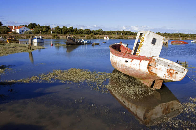 无人,家,横图,室外,白天,正面,旅游,度假,草地,草坪,美景,植物,船,法国,欧洲,阴影,光线,影子,房屋,屋子,景观,云,云朵,木船,云彩,娱乐,楼房,住宅,草,树,树木,蓝色,绿色,白云,蓝天,天空,阳光,自然,交通工具,天,享受,休闲,景色,放松,生长,晴朗,成长,舟,西欧,法兰西,自然风光,载具,法兰西共和国,卢瓦尔河地区,法兰西第五共和国,卢瓦尔,卢瓦尔大区,卢瓦尔河大区,旺代省,晴空,彩图,房子