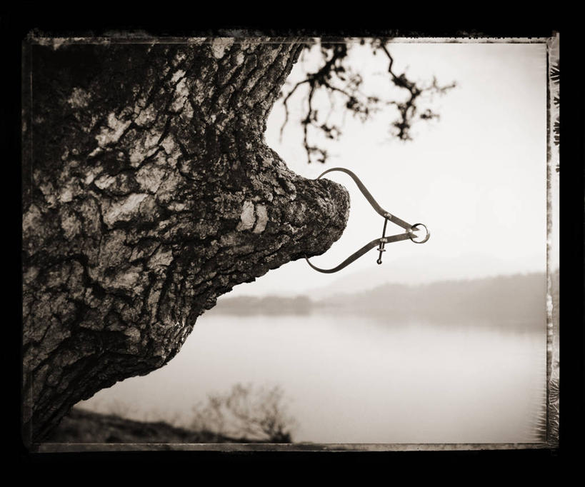 无人,横图,室外,白天,正面,旅游,度假,湖,湖泊,美景,水,植物,雾,生活用品,朦胧,模糊,测量,器材,刻度,地平线,湖面,景观,水流,水面,辽阔,地面,娱乐,树,树木,绿色,倒影,自然,湖水,享受,休闲,广阔,景色,放松,生长,成长,测量工具,一望无际,快速,迷雾,倒映,准确,精度,自然风光,延伸,精准,物理,天地相交,量具,量仪,无边无际,一马平川,反照,直径,厚度,卡规,大雾,彩图