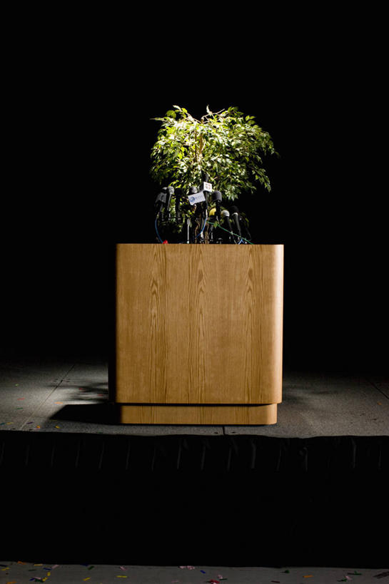 无人,竖图,室内,白天,正面,植物,叶子,照明,许多,阴影,光线,盆栽,影子,灯光,绿叶,盆景,很多,灯,绿色,自然,话筒,灯具,嫩叶,生长,成长,聚光灯,照亮,麦克风,照明设备,扩音器,传声器,微音器,记者会,记者招待会,叶,叶片,彩图