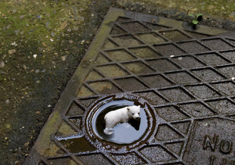 无人,横图,室外,白天,全球变暖,北极熊,野生动物,雕塑,英国,艺术,装饰,雕刻,雕像,首都,工艺品,摄影,排水沟,纪念,美术,主题,比例,陈列,功能,美学,水坑,想法,彩图,检修口