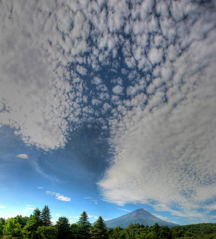 无人,竖图,室外,白天,留白,美景,森林,富士山,日本,景观,山顶,云,风景,自然,景色,摄影,宁静,自然风光,常绿树,彩图