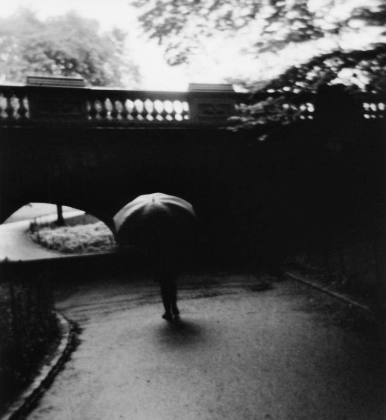 公园,竖图,黑白,室外,白天,雨,建筑,美国,伞,小路,桥,树,自然,摄影,宁静,剪影,中央公园,步行