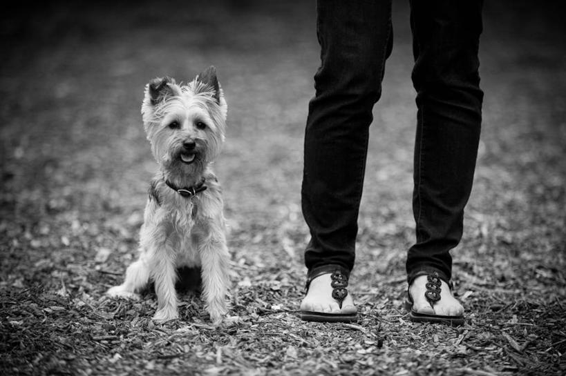 成年人,腿,一个人,坐,横图,黑白,室外,白天,正面,凉鞋,友谊,纯洁,宠物,狗,美国,仅一个女性,裤子,休闲装,可爱,童年,童趣,人体,摄影,童真,烂漫,无邪,忠诚,明尼苏达,天真,服从,好奇心