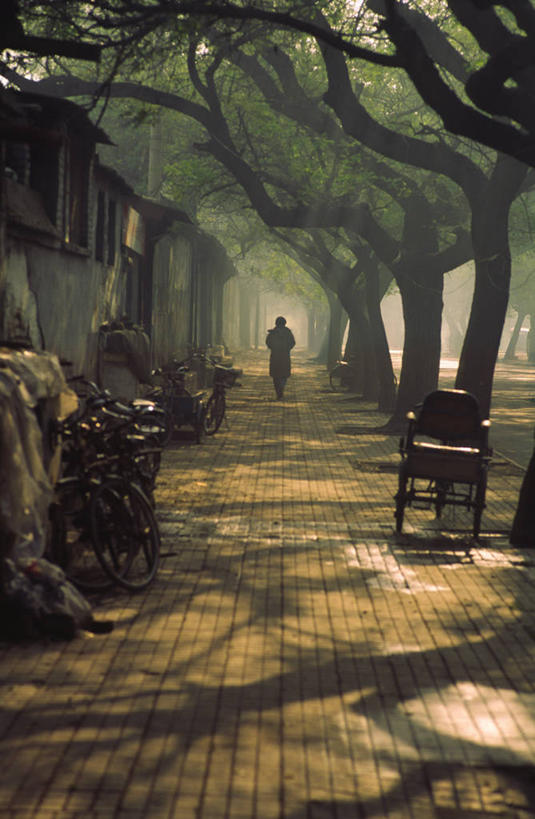 成年人,一个人,竖图,室外,消失点,雾,自行车,北京,仅一个男性,阴影,完整,朦胧,模糊,人行道,垃圾,郊区,黎明,首都,轮椅,摄影,宁静,早晨,剪影,步行,彩图,林荫大道