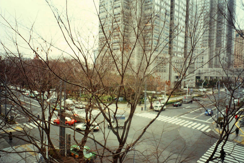 横图,俯视,阶调图片,室外,白天,城市,道路,街道,路,摩天大楼,人行横道,公路,汽车,东京,日本,枯萎,日本文化,十字路口,交通,首都,摄影,死亡,枯败,马路,彩图,高角度拍摄