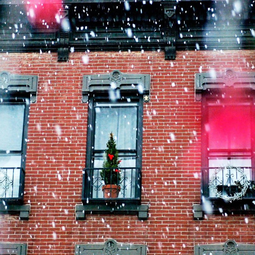 无人,方图,室外,白天,窗户,建筑,圣诞节,冬天,下雪,公寓,天气,砖墙,摄影,布鲁克林,彩图