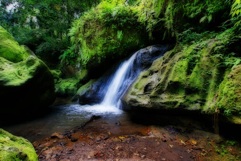 无人,横图,室外,白天,美景,瀑布,印度尼西亚,景观,苔藓,风景,小溪,自然,景色,摄影,自然风光,热带雨林,岩石,彩图,雨林,巴厘