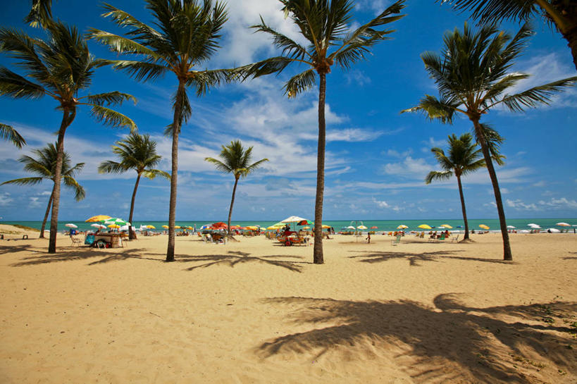 无人,横图,室外,白天,度假,海洋,棕榈树,巴西,水平线,摄影,宁静,热带气候,阿拉戈斯,马塞约,海滩,彩图