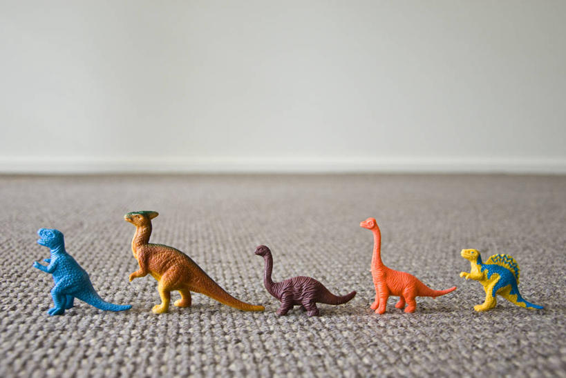 无人,横图,室内,室外,白天,侧面,地板,地毯,澳大利亚,五个,一排,许多,整齐,排列,摄影,恐龙,队列,悉尼,新南威尔士,彩图