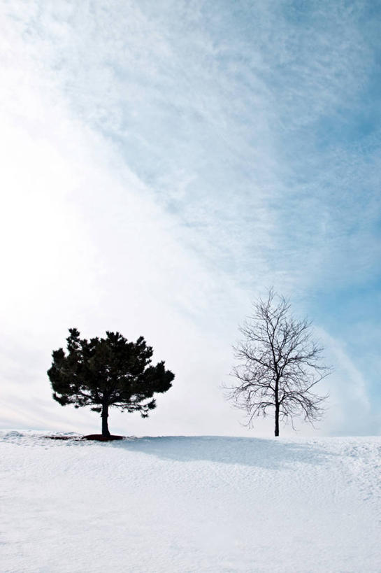 无人,竖图,室外,白天,留白,美景,雪,美国,地形,景观,冬天,风景,天空,自然,景色,寒冷,摄影,宁静,自然风光,马萨诸塞,查尔斯顿,常绿树,彩图